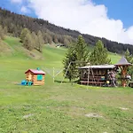 Bait Dal Cucu App Canton